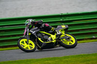 Middle Group Black Bikes